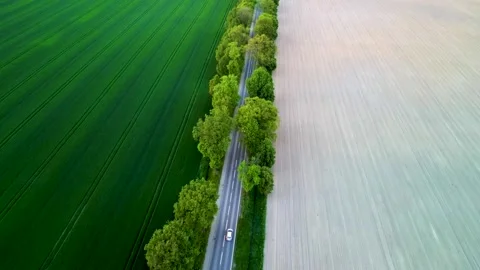 Aerial view of road through fields, one side lush grass, other side prepare.. Stock-Footage 274949485