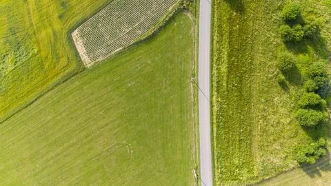 Aerial view of road through fields. Agriculture green fields and road. aerial Foto stock