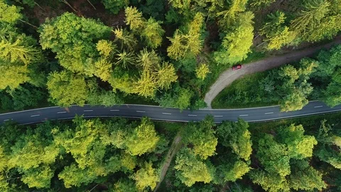 Aerial view of a road through the forest Видео 76974169