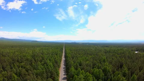 Aerial view of road through the forest. Bird's-eye view. Beautiful landscape Stock Footage 92341404