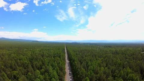 Aerial view of road through the forest. Bird's-eye view. Beautiful landscape Stock Footage 92341508