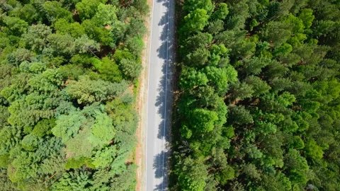Aerial view of road through the forest. Camera rotation counterclockwise Stock Footage 93742936