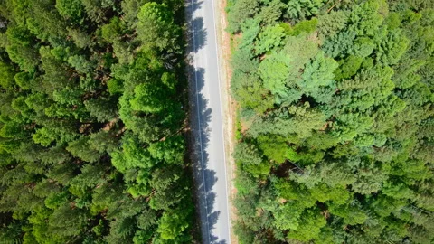 Aerial view of road through the forest. Camera rotation clockwise Stock Footage 93743080