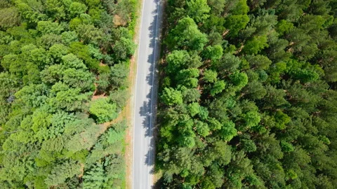 Aerial view of road through the forest. Vertical shot Stock Footage 93745196