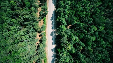 Aerial view of road through the forest. Vertical shot Stock Footage 93746021