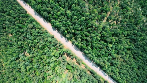 Aerial view of road through the forest. Camera rotation clockwise Stock Footage 93748069