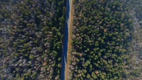 Aerial view of the road through the forest Stock Footage 125988406