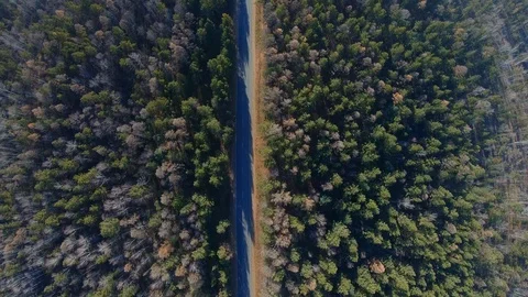 Aerial view of the road through the forest Video stock 126619400