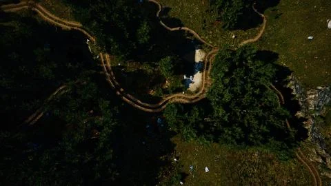 Aerial view of the road through the forest Ilustração Stock