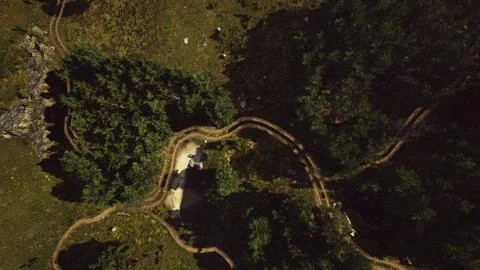 Aerial view of the road through the forest Ilustração Stock