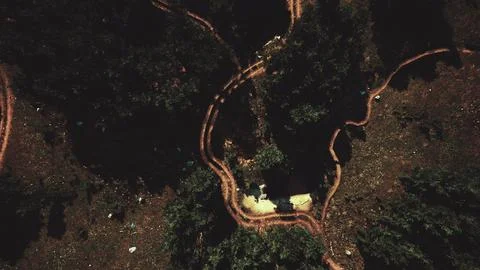 Aerial view of the road through the forest Ilustração Stock