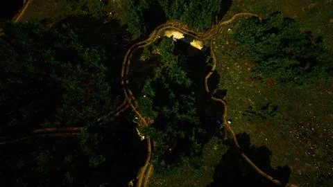 Aerial view of the road through the forest Ilustração Stock