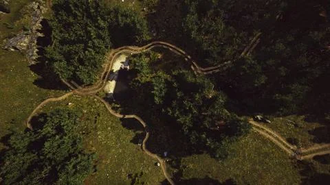 Aerial view of the road through the forest Ilustração Stock