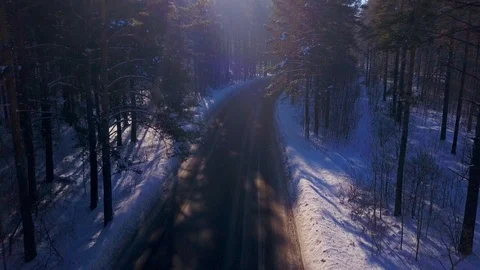 Aerial view of road through pine forest 4k 1 库存影片 86266870