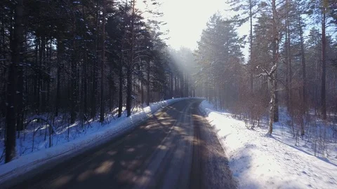 Aerial view of road through pine forest Stockbeeldmateriaal 86267408