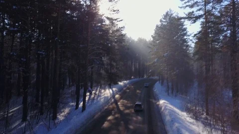 Aerial view of road through pine forest 2 库存影片 86268189