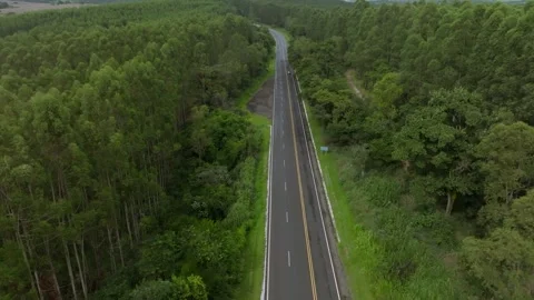 Aerial view of a road through trees Stock Footage 265253207
