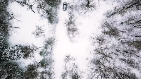 Aerial view of the road through a winter forest with a moving car. Footage Video stock 130349334