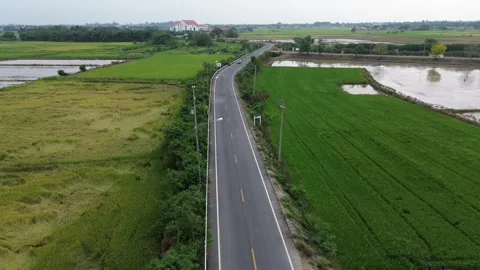 Aerial view of road  thru rice paddy fields Stock Footage 328619292