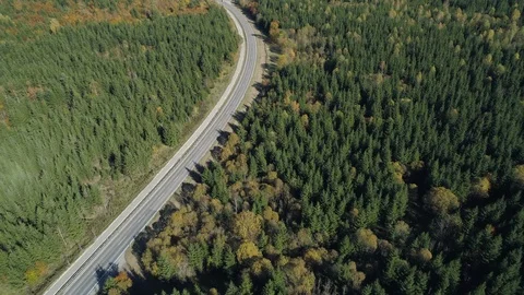 Aerial view of road with traffic through autumnal forest, Germany Stock Footage 124841729