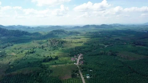 Aerial view road in tropics Stock Footage 162655651