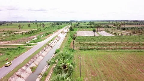Aerial view road in tropics Stock Footage 163361932
