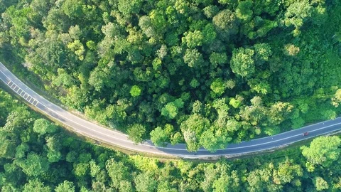Aerial view. Road was built across forest to connect between town. Video stock 82218974