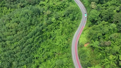 Aerial view of road winding through forest Stock Footage 134117429
