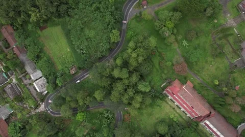 Aerial view of the road winding through the forest Stock Footage 258312802