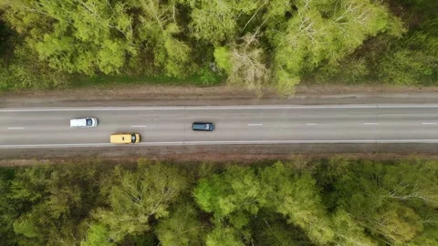 Aerial view of road winding through green forest canopy Video stock 331619769