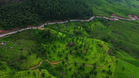 Aerial View of  Roads in Munnar Surrounded by Tea Plantations and Clouds Видео 341311678