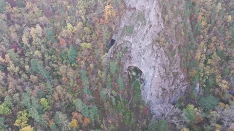 Aerial View of the Rock Cave Surrounded by Trees Stock Footage 266918994