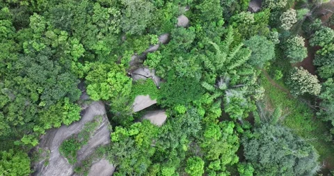 Aerial view of rock formations within the dense trees or people finding par.. Stock Footage 325955726