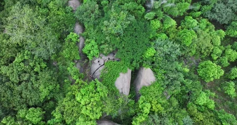Aerial view of rock formations within the dense trees or people finding par.. Video stock 325956528