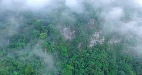 Aerial view of rock mountain in amazon rainforest Stock-Footage 233008367