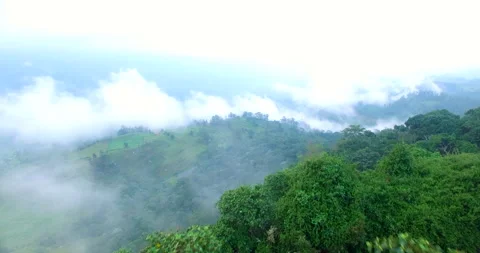 Aerial view of rock mountain in amazon rainforest Stock Footage 233008571