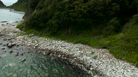 Aerial view of the rocks and forest of the island by the sea in the afternoon Stock Footage 162622863