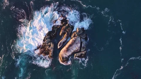 Aerial view of rocks and ocean, South Africa. Stock Footage 331135924