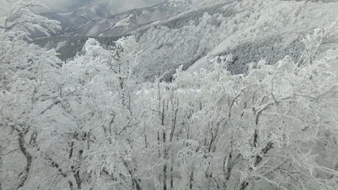 Aerial view on rocks, forest and trees covered with snow at mountain Stock Footage 98232136