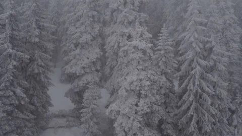Aerial view on rocks, forest and trees covered with snow at mountain. Stock Footage 197046357