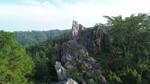 Aerial View of Rocky Cliff Formation in Tropical Forest Vidéo 330487352