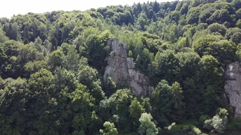 Aerial view of rocky cliffs with climbing routes in Carpathian forest near river Stock Footage 336631662