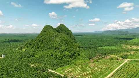 Aerial view of a rocky mountain filled with green plants and surrounded by .. Stock Footage 337014655