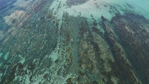Aerial View of Rocky Seabed Through Clear Water at Seafield Clare Vidéo 339410104