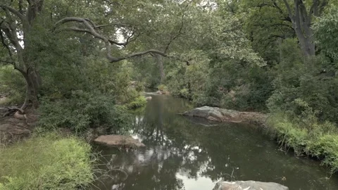 Aerial View of Rocky Stream and Lush Forest Landscape Pratapgarh Rajasthan India Stock Footage 345488201