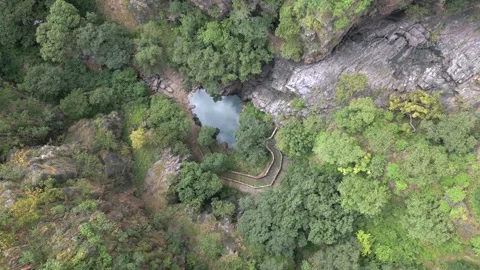 Aerial View of Rocky Stream and Lush Forest Landscape Pratapgarh Rajasthan India Stock Footage 345488253