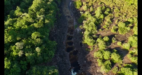 Aerial View of Rocky Stream Surrounded by Lush Greenery Video stock 336569601