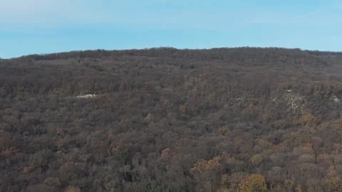 Aerial View of Rolling Forest Hills Under Clear Blue Sky Stock Footage 324889909