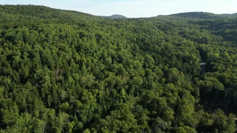 Aerial View of Rolling Forested Hills in Golden Evening Light Vídeos de archivo 338326683