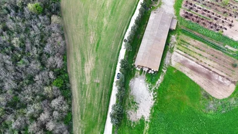 Aerial View of Rolling Green Fields and a Serene Rustic Barn in Early Spring Stock Footage 281299190